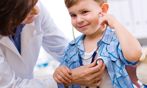 Qualifications and Expertise