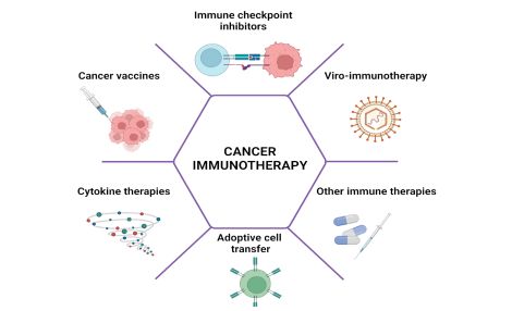 Immunotherapy by Pediatric Hematologist in India, Dr. Shweta Bansal